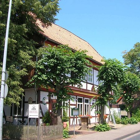 Apartment Brauner Hirsch เซลเลอ ภายนอก รูปภาพ