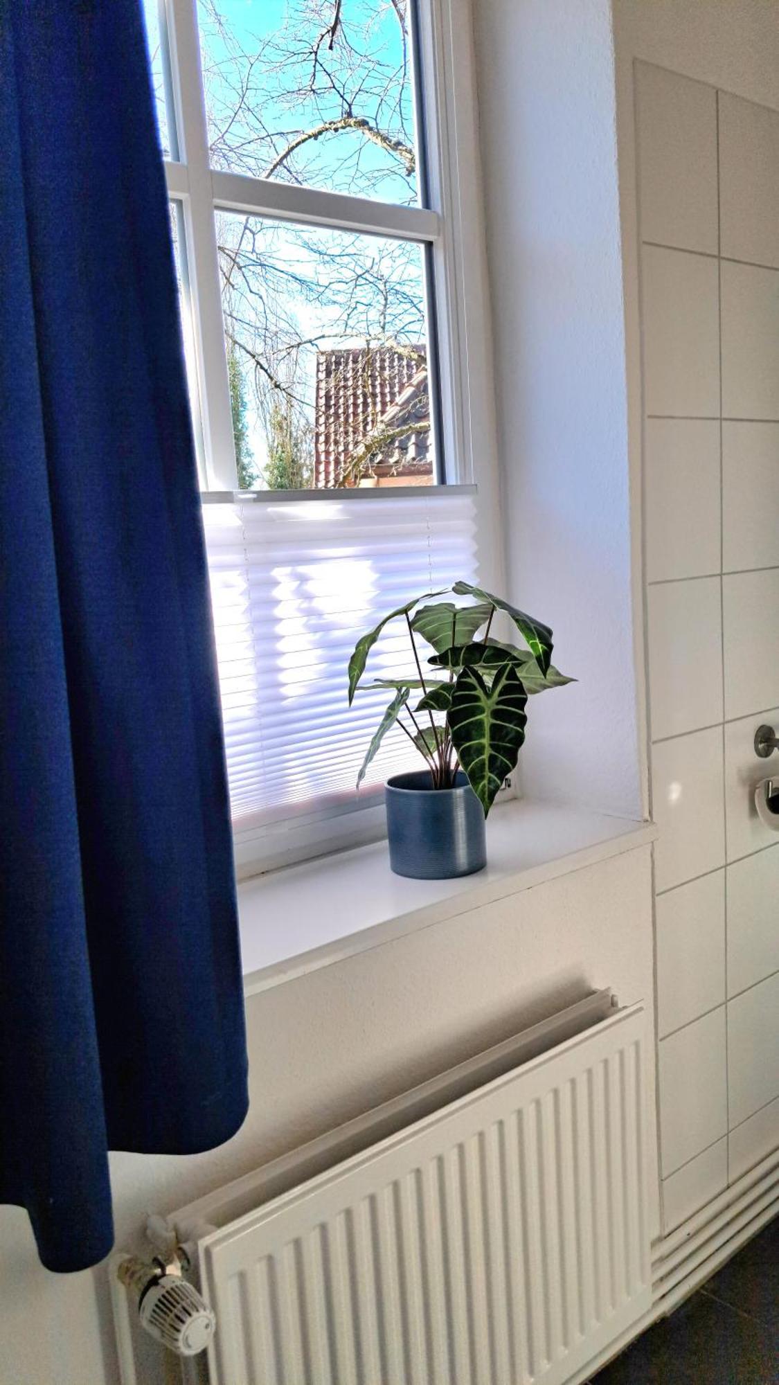 Apartment Brauner Hirsch เซลเลอ ภายนอก รูปภาพ